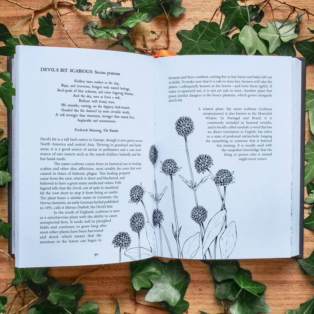 Hachette Book Group - Botanical Curses and Poisons: The Shadow-Lives of Plants (Co