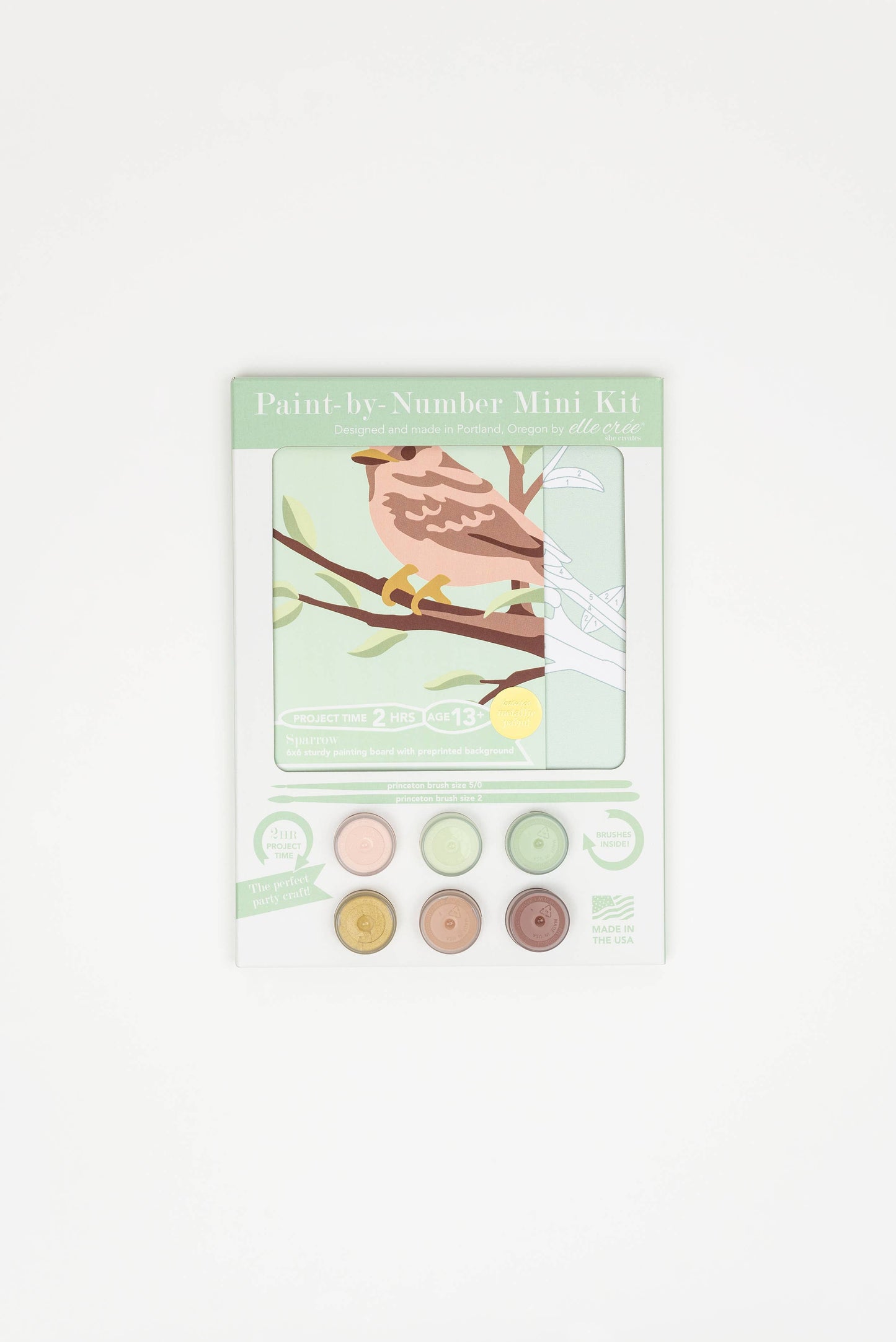 Sparrow MINI Paint-by-Number Kit