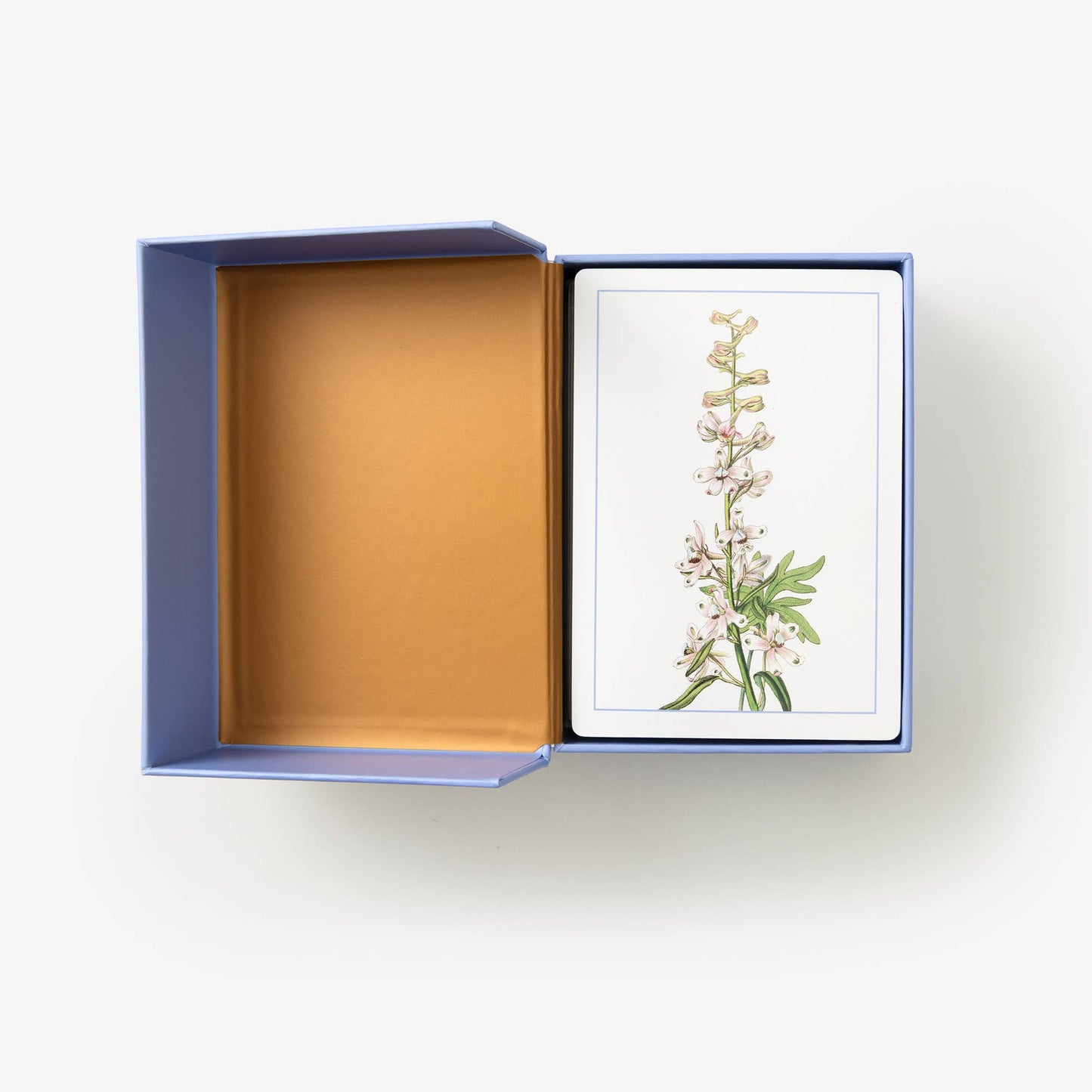 New York Botanical Garden Wildflower ID Flashcards - Stomping Grounds