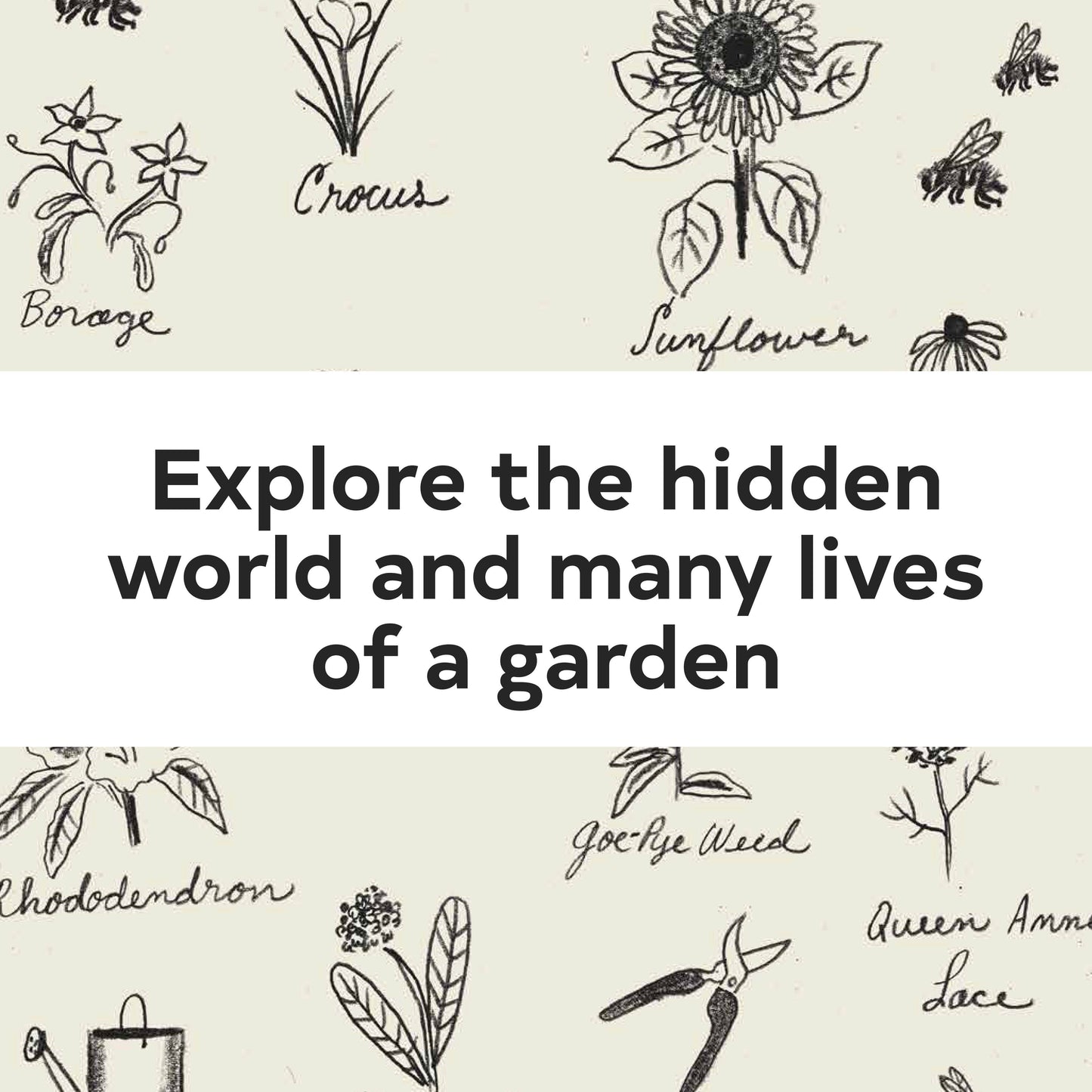 Up in the Garden and Down in the Dirt