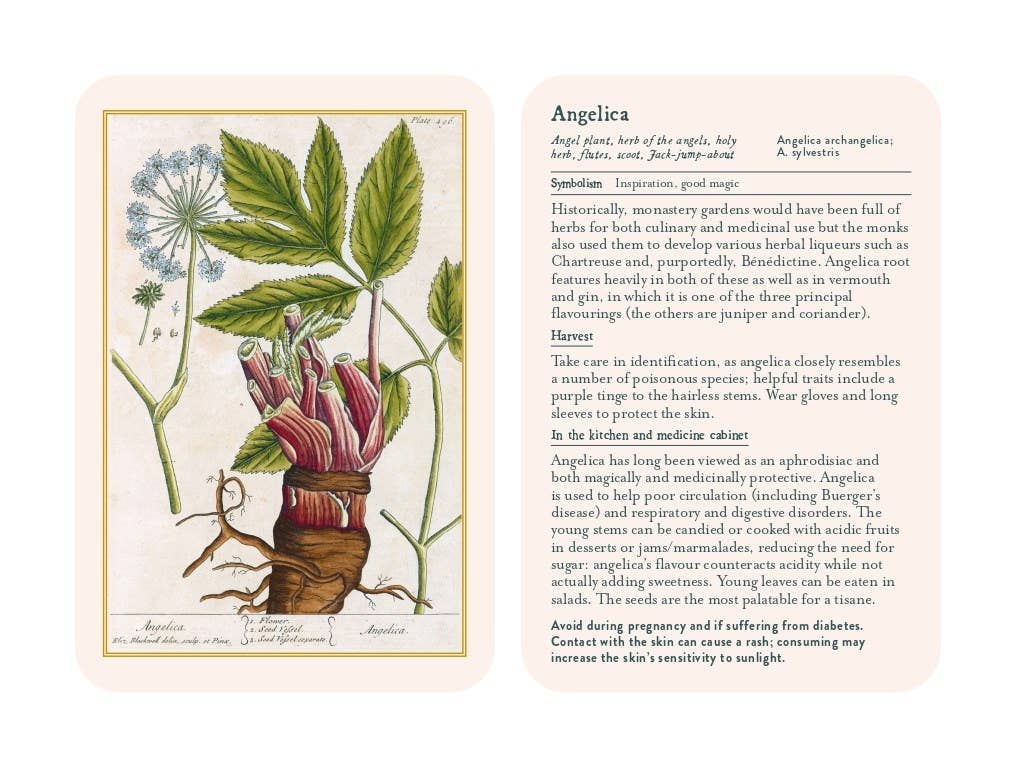 Hachette Book Group - Healing Plants