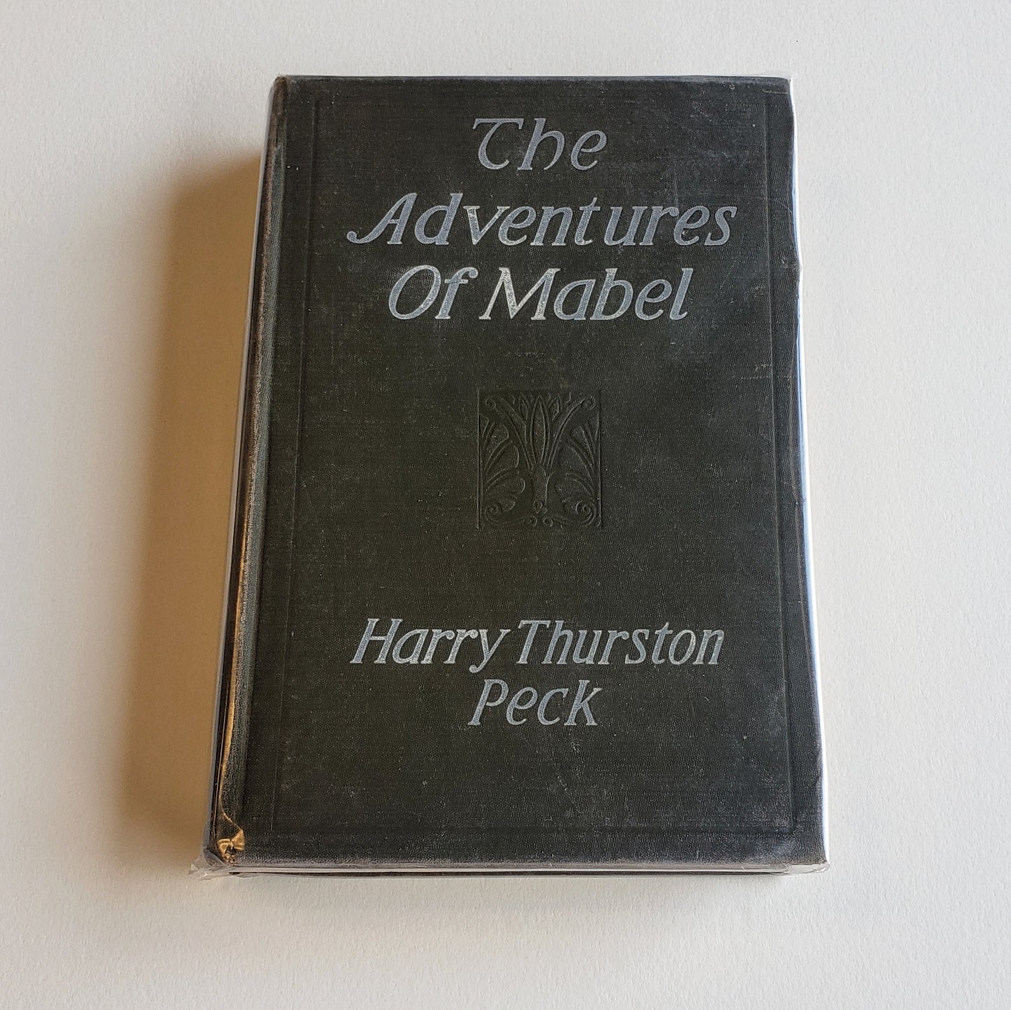 Vintage Book- The Adventures of Mabel by Harry Thurston Peck (Children's)