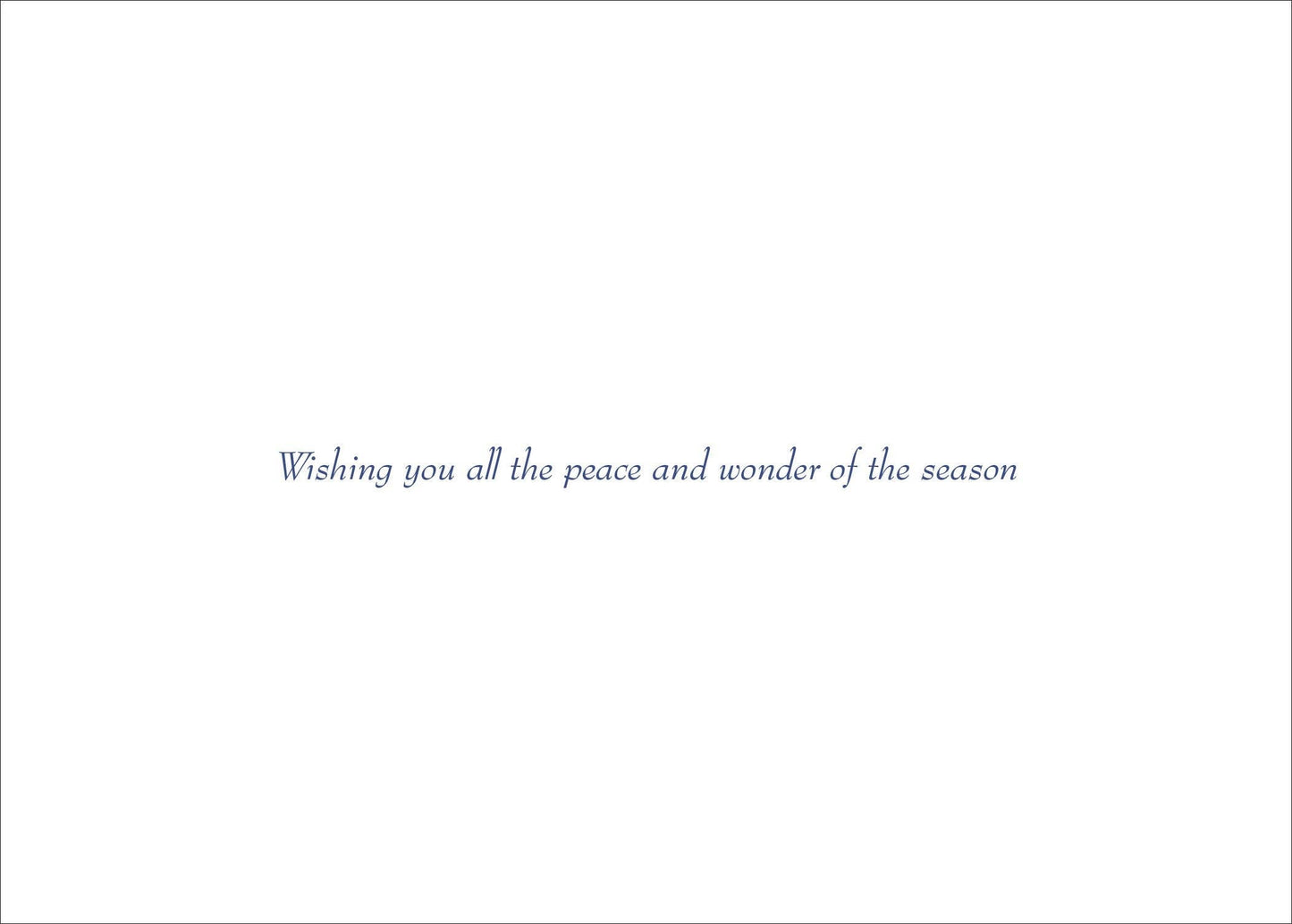 Peter Pauper Press - Starry Night Deluxe Boxed Holiday Cards