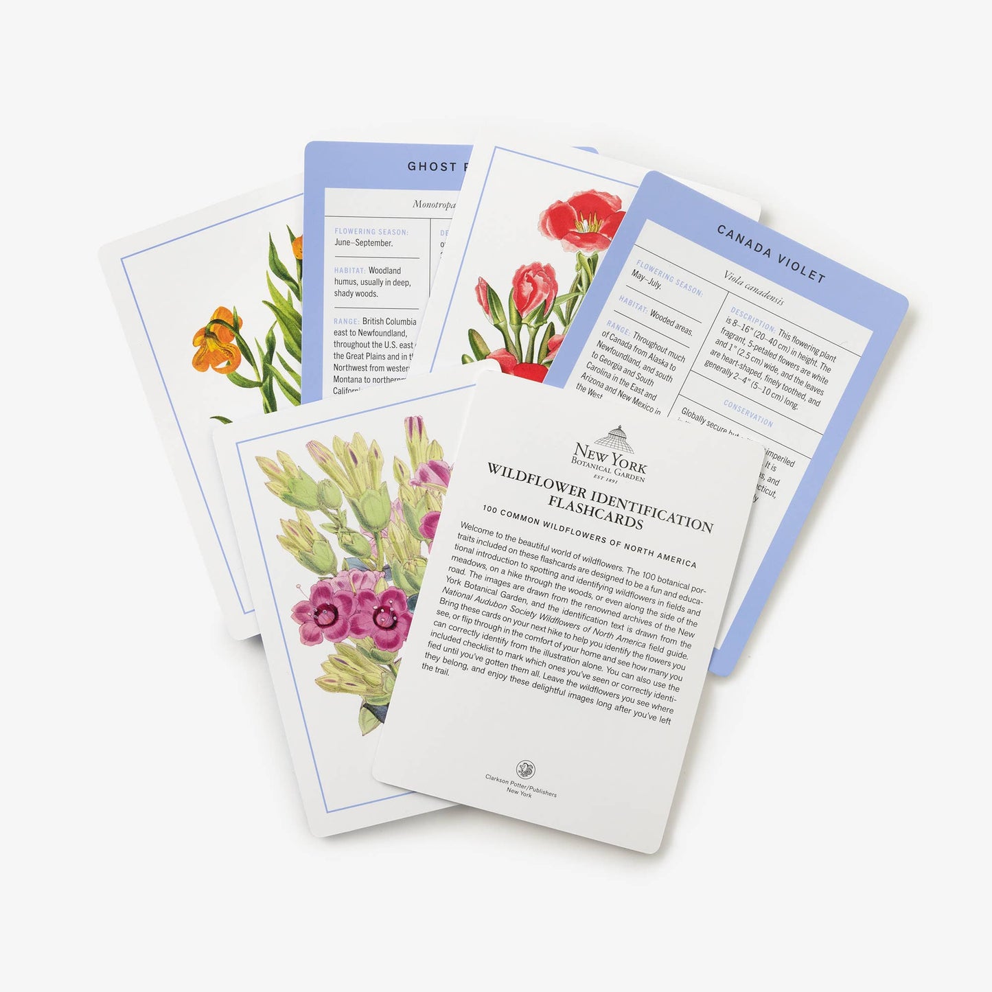 New York Botanical Garden Wildflower ID Flashcards - Stomping Grounds