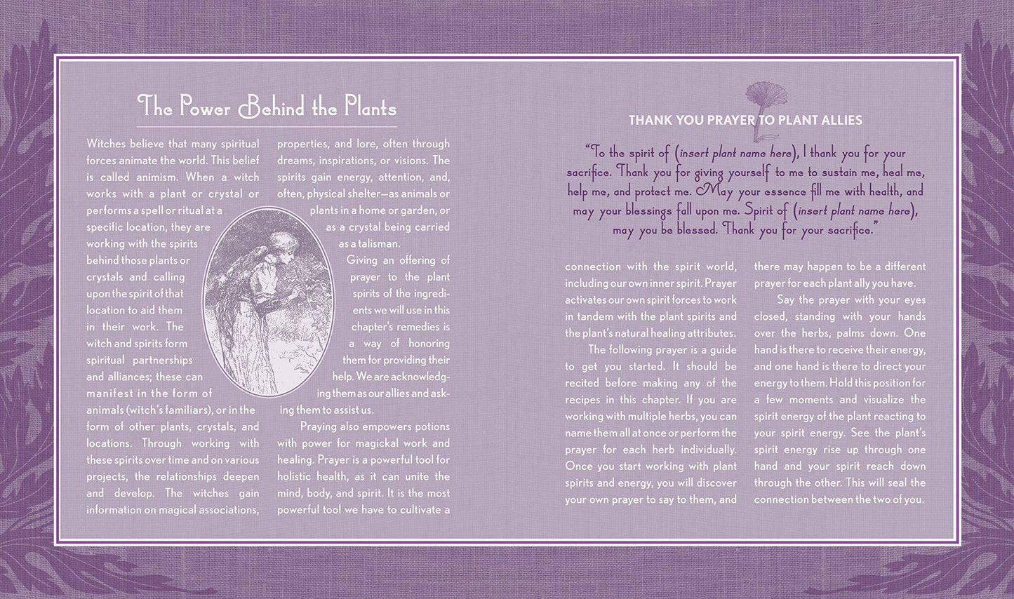 Hachette Book Group - Good Witch's Guide by Shawn Robbins