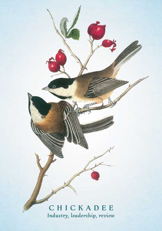 Simon & Schuster - Spiritual Meaning of Birds Oracle Deck by Arin Murphy-Hiscock: Flashcards; 50 pages / English