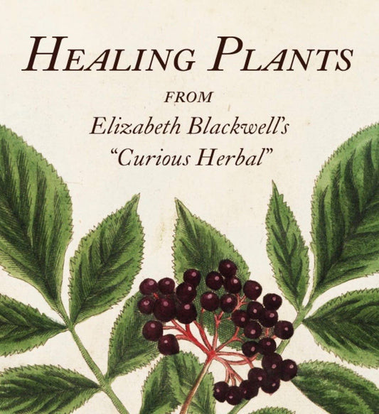 Healing Plants: From Elizabeth Blackwell's A Curious Herbal (Hardcover)