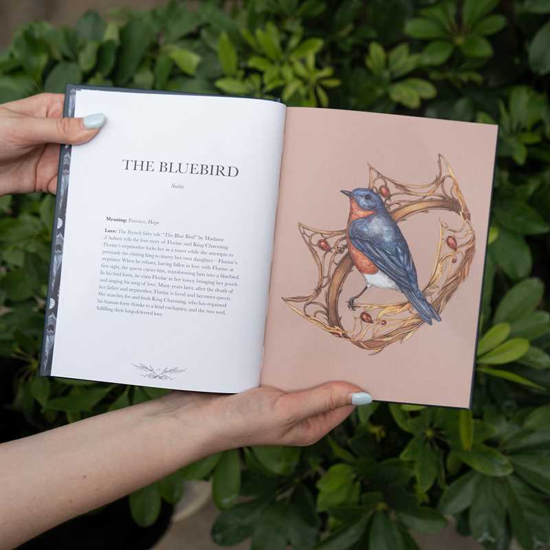 Simon & Schuster - Ornithography by Jessica Roux: Hardcover; 224 pages / English