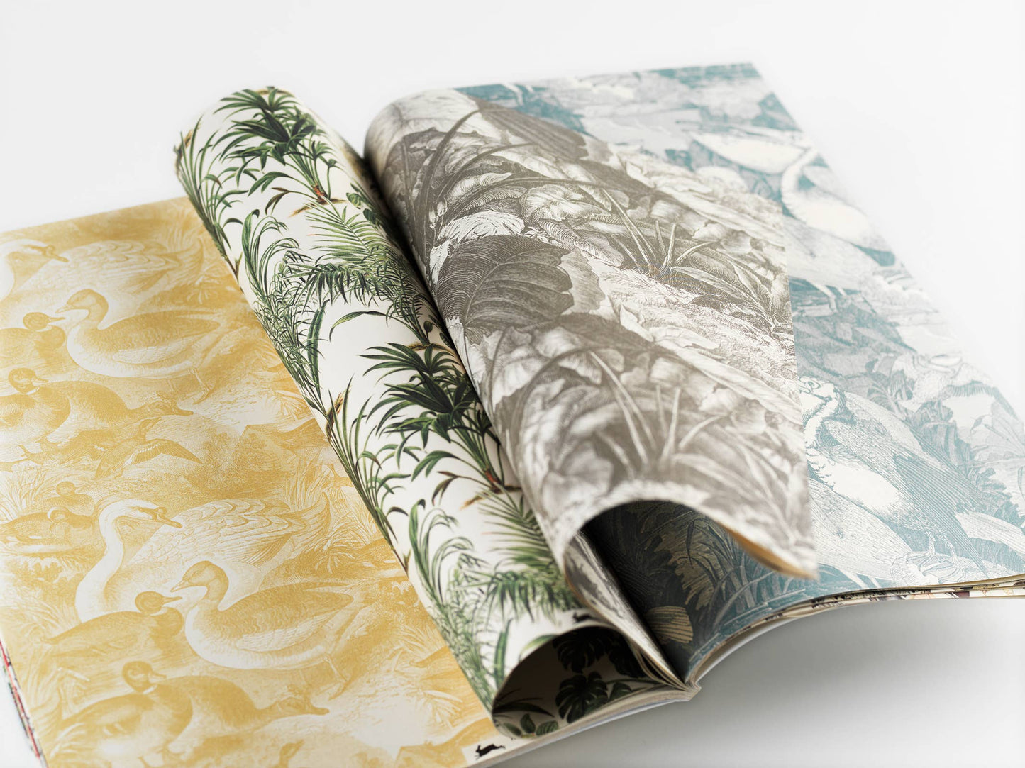 Pepin Press - Natural History Gift & Creative Paper Book