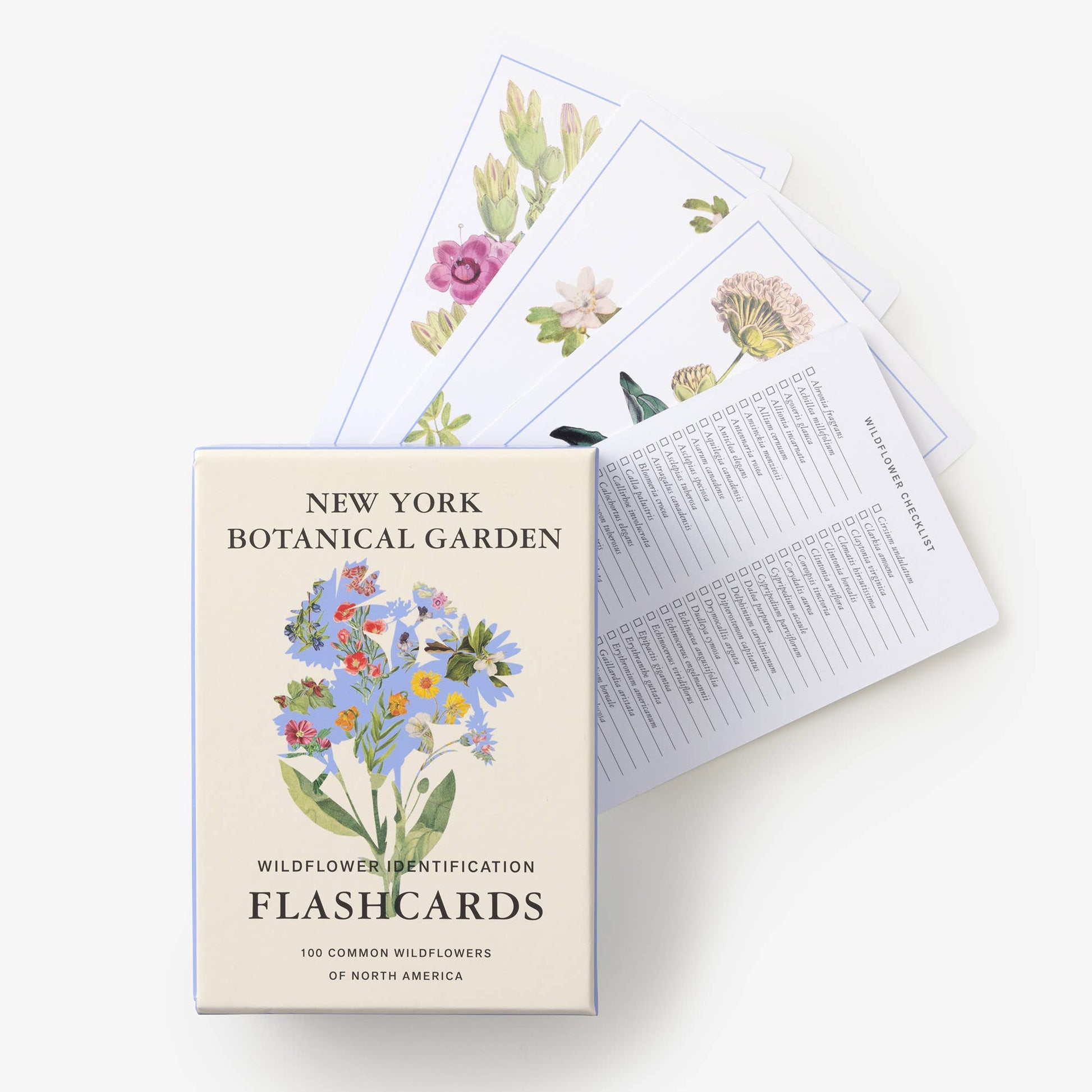 New York Botanical Garden Wildflower ID Flashcards - Stomping Grounds