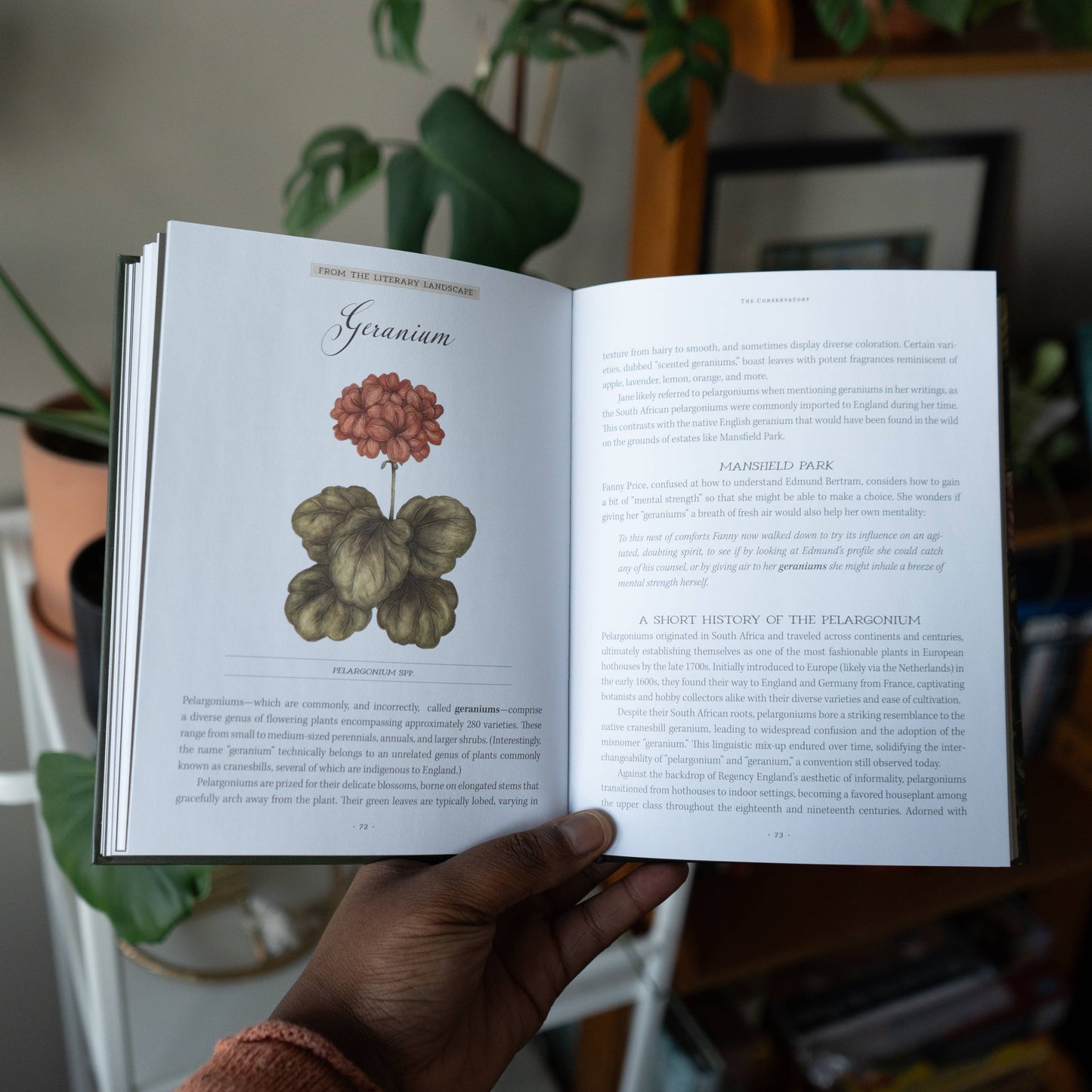 Jane Austen's Garden by Molly Williams - Stomping Grounds