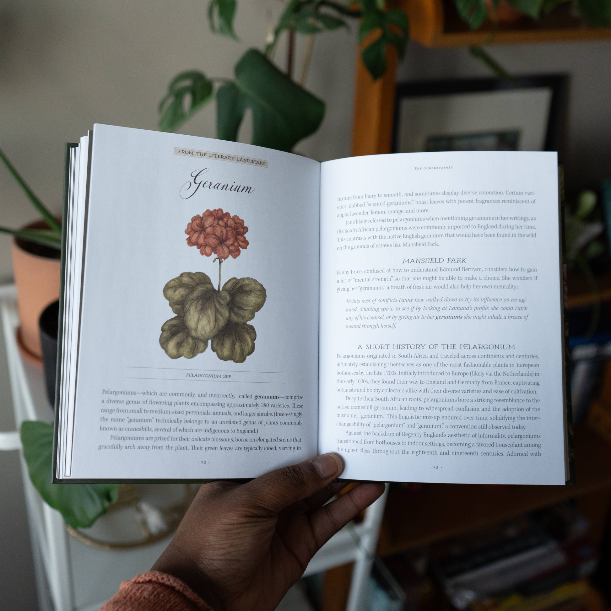 Jane Austen's Garden by Molly Williams - Stomping Grounds