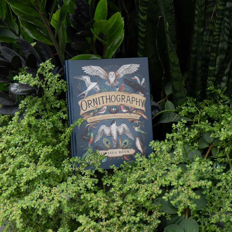 Simon & Schuster - Ornithography by Jessica Roux: Hardcover; 224 pages / English