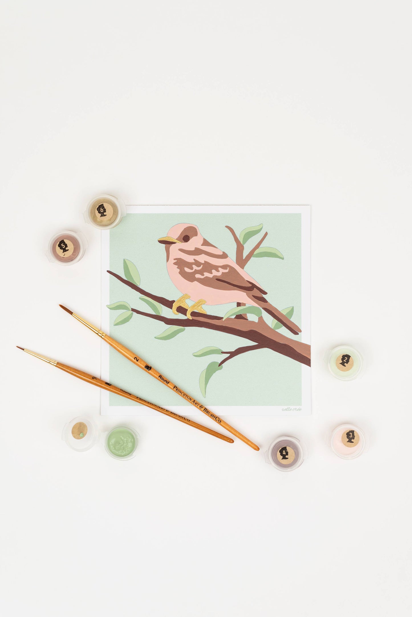 Sparrow MINI Paint-by-Number Kit