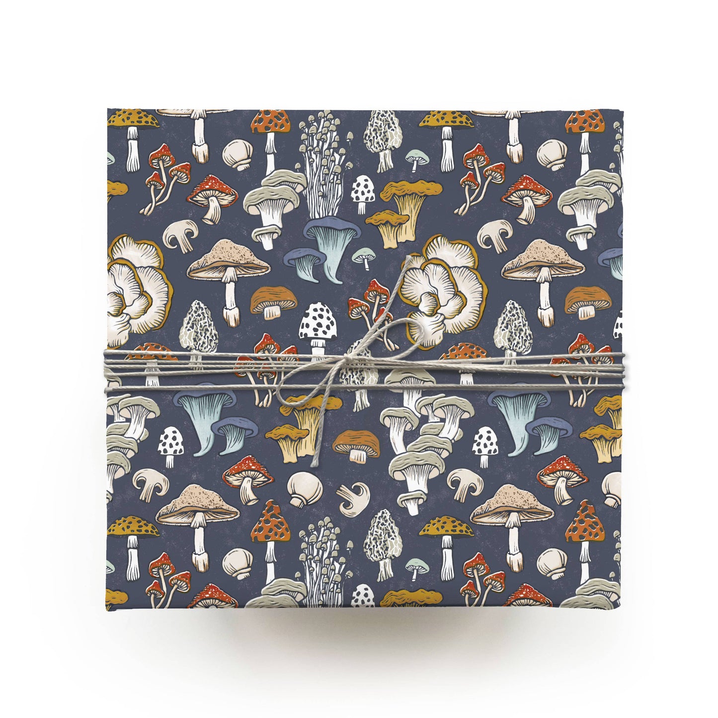 Root & Branch Paper Co. - Mushroom + Fungi Gift Wrap: Rolled Set of 3 Sheets