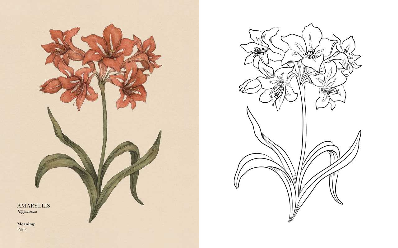 Floriography Coloring Book by Jessica  Roux: Paperback