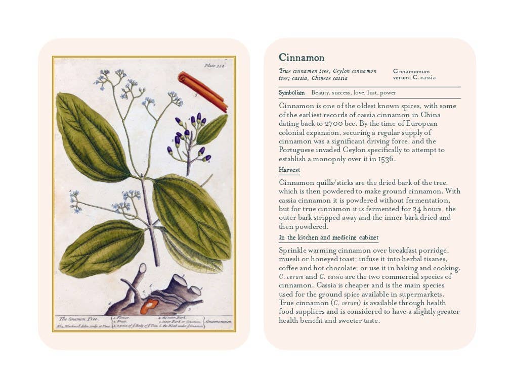 Hachette Book Group - Healing Plants
