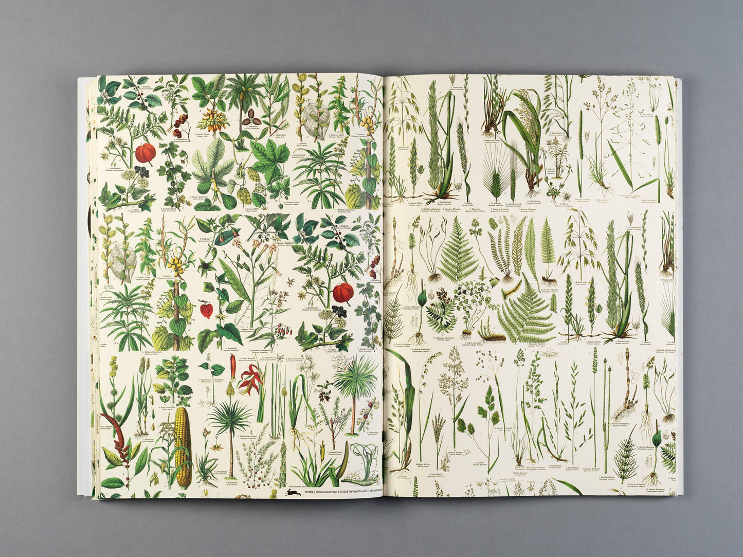 Pepin Press - Flora Gift & Creative Paper Book