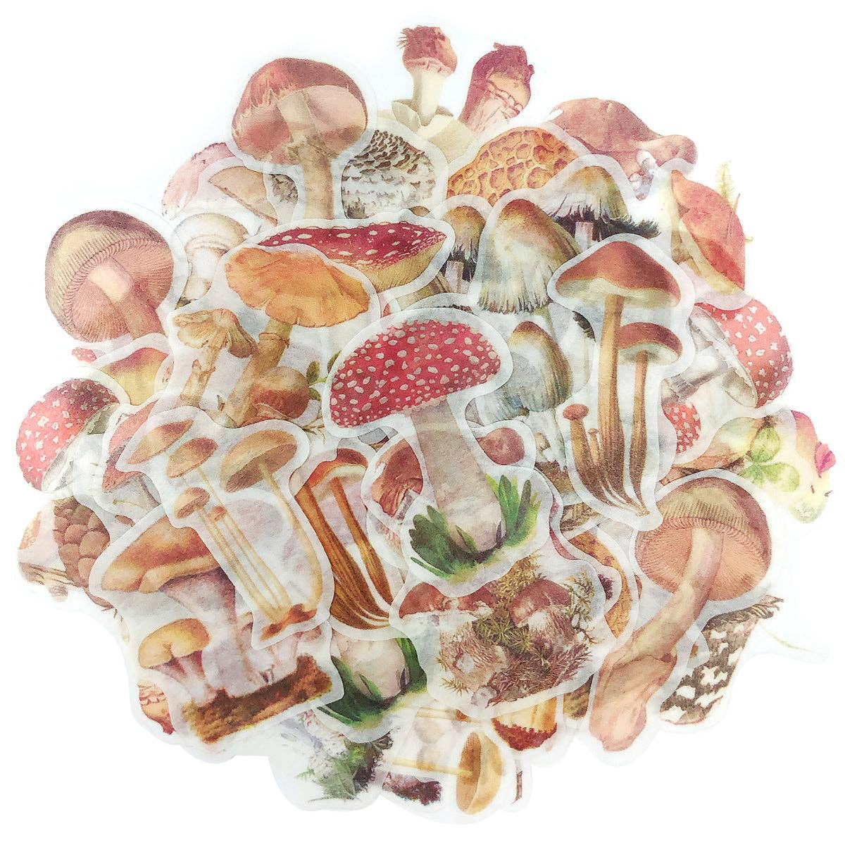 Wrapables.com - Wrapables Decorative Scrapbooking Washi Stickers, (60 pcs): Butterflies