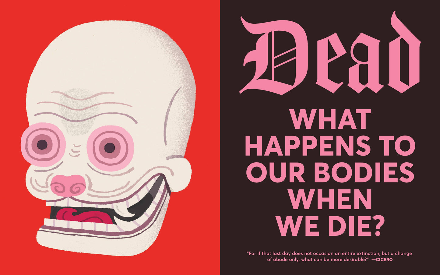 Chronicle Books - Curious Coffins and Riveting Rituals