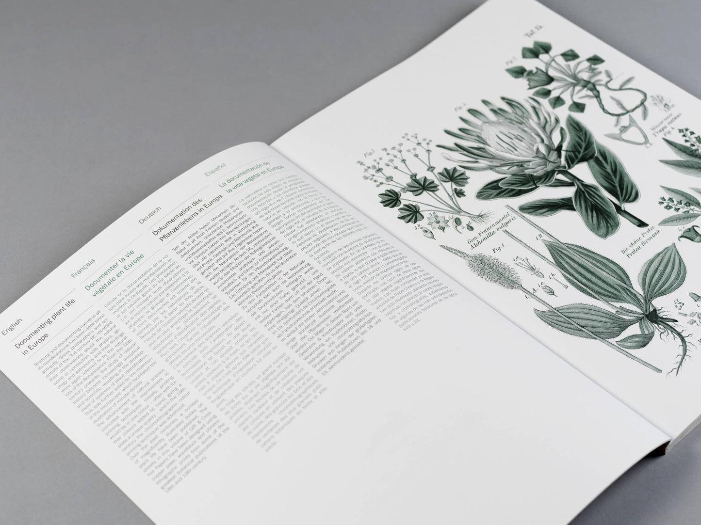 Pepin Press - Flora Gift & Creative Paper Book