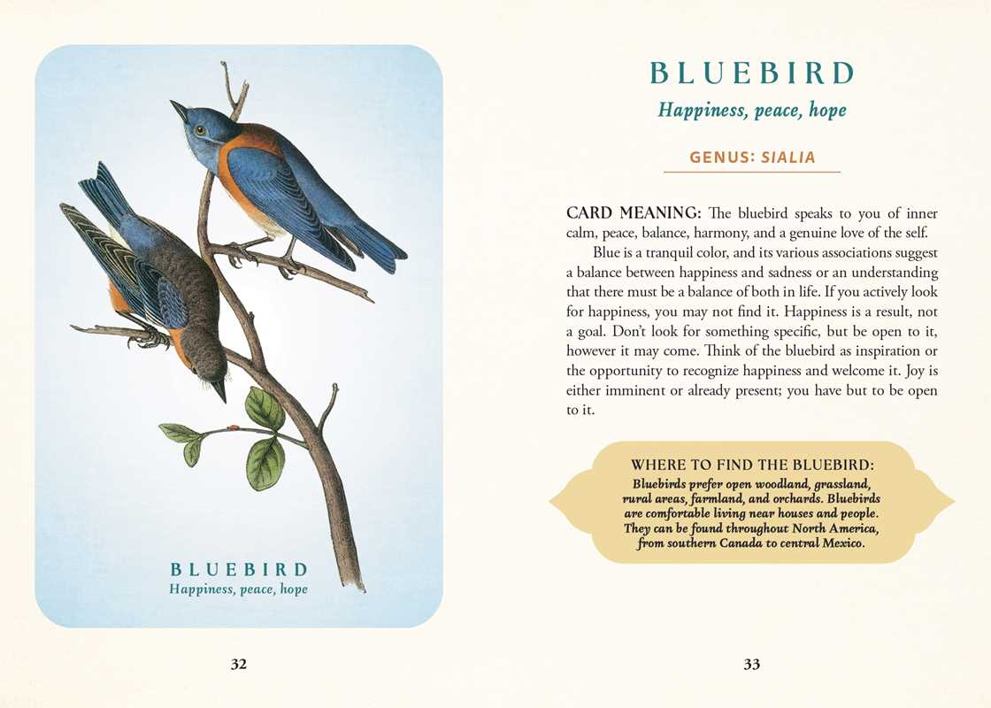 Simon & Schuster - Spiritual Meaning of Birds Oracle Deck by Arin Murphy-Hiscock: Flashcards; 50 pages / English