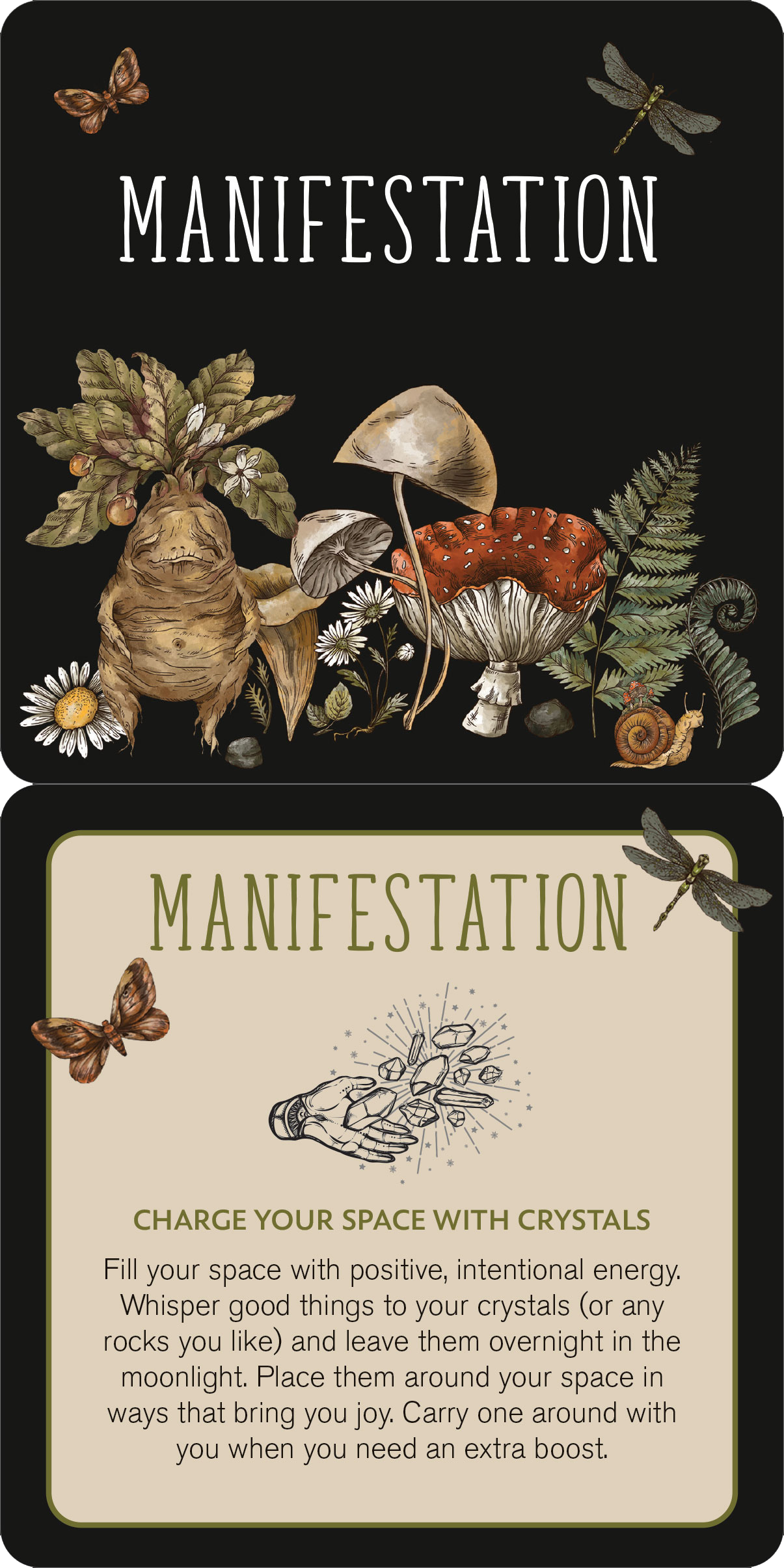 Peter Pauper Press - Everyday Spells for Busy Witches Insight Cards