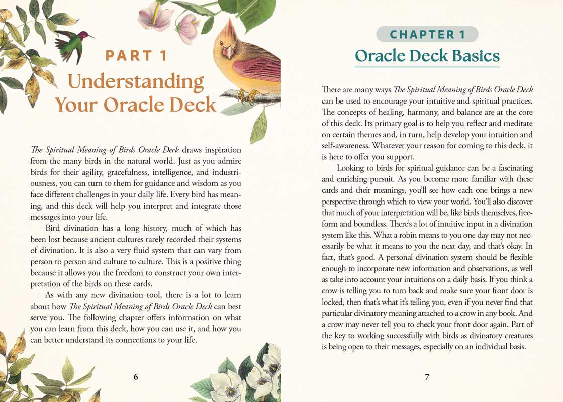 Simon & Schuster - Spiritual Meaning of Birds Oracle Deck by Arin Murphy-Hiscock: Flashcards; 50 pages / English