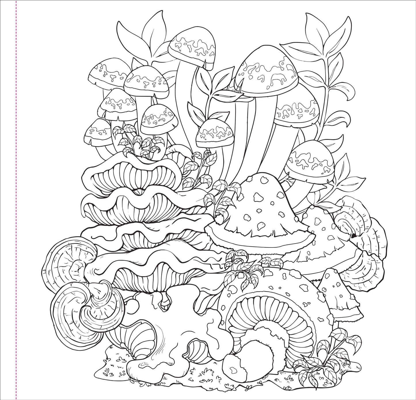 Peter Pauper Press - Mushrooms Adult Coloring Book