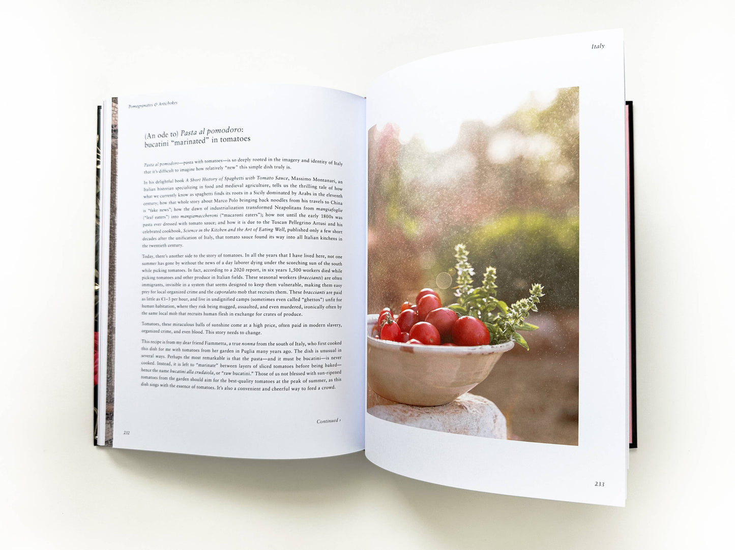 Pomegranates and Artichokes by Saghar Setareh: Paperback; 289 pages / English