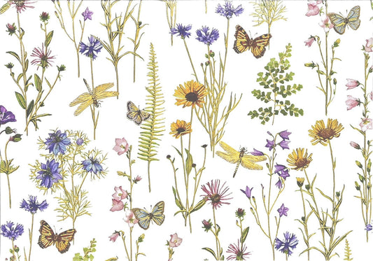 Peter Pauper Press - Wildflower Garden Note Cards