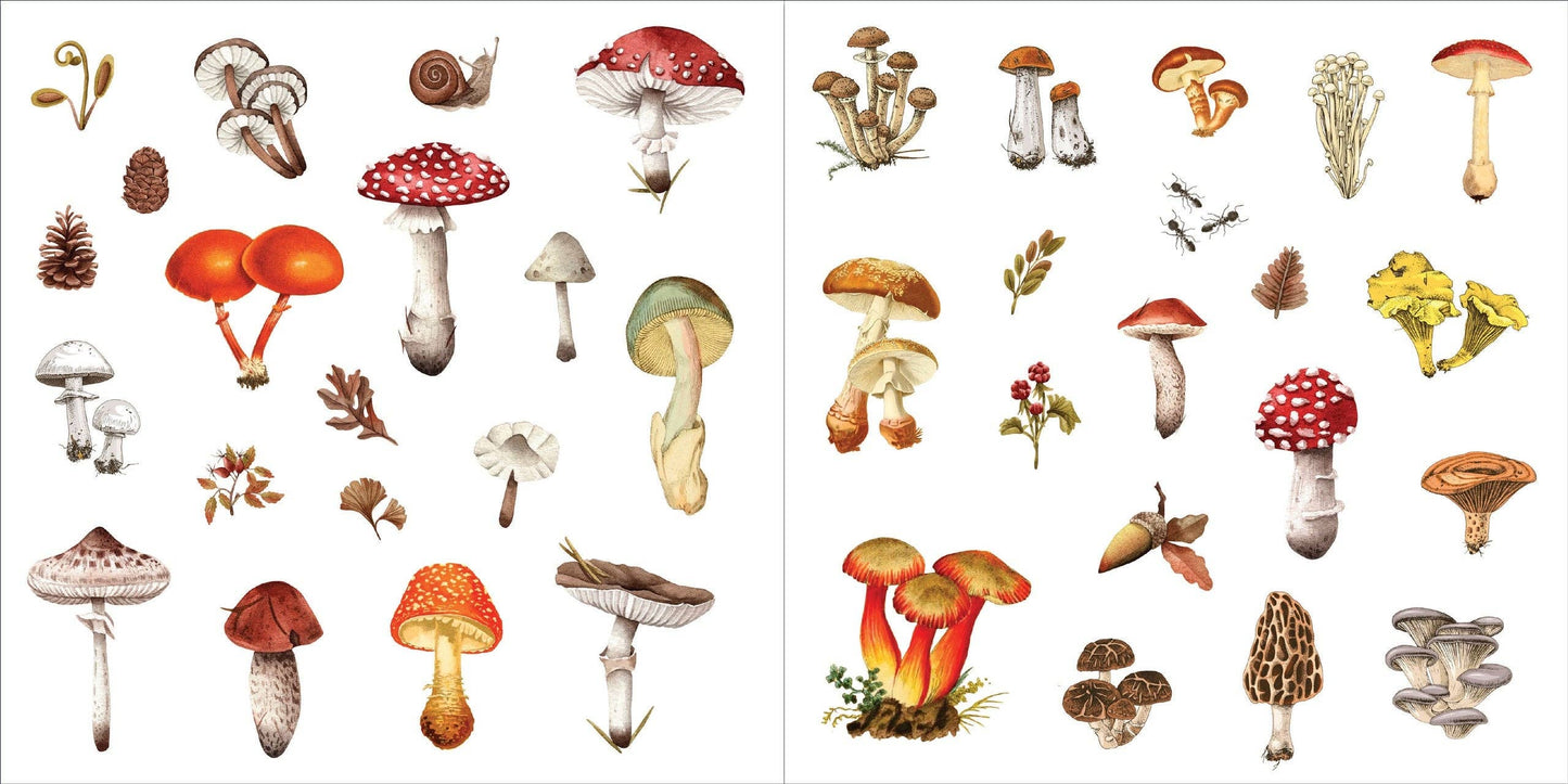 Peter Pauper Press - Bunches of Botanicals Sticker Book (500 stickers)