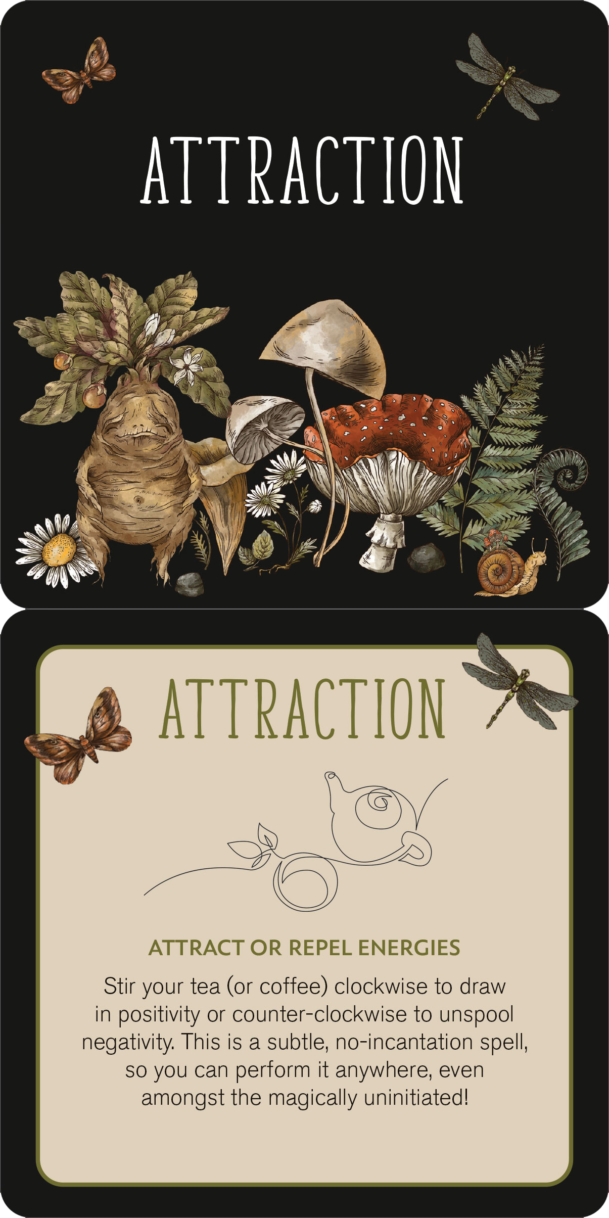Peter Pauper Press - Everyday Spells for Busy Witches Insight Cards