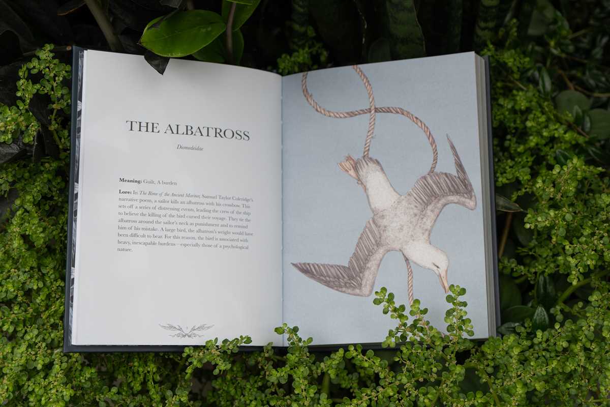 Simon & Schuster - Ornithography by Jessica Roux: Hardcover; 224 pages / English
