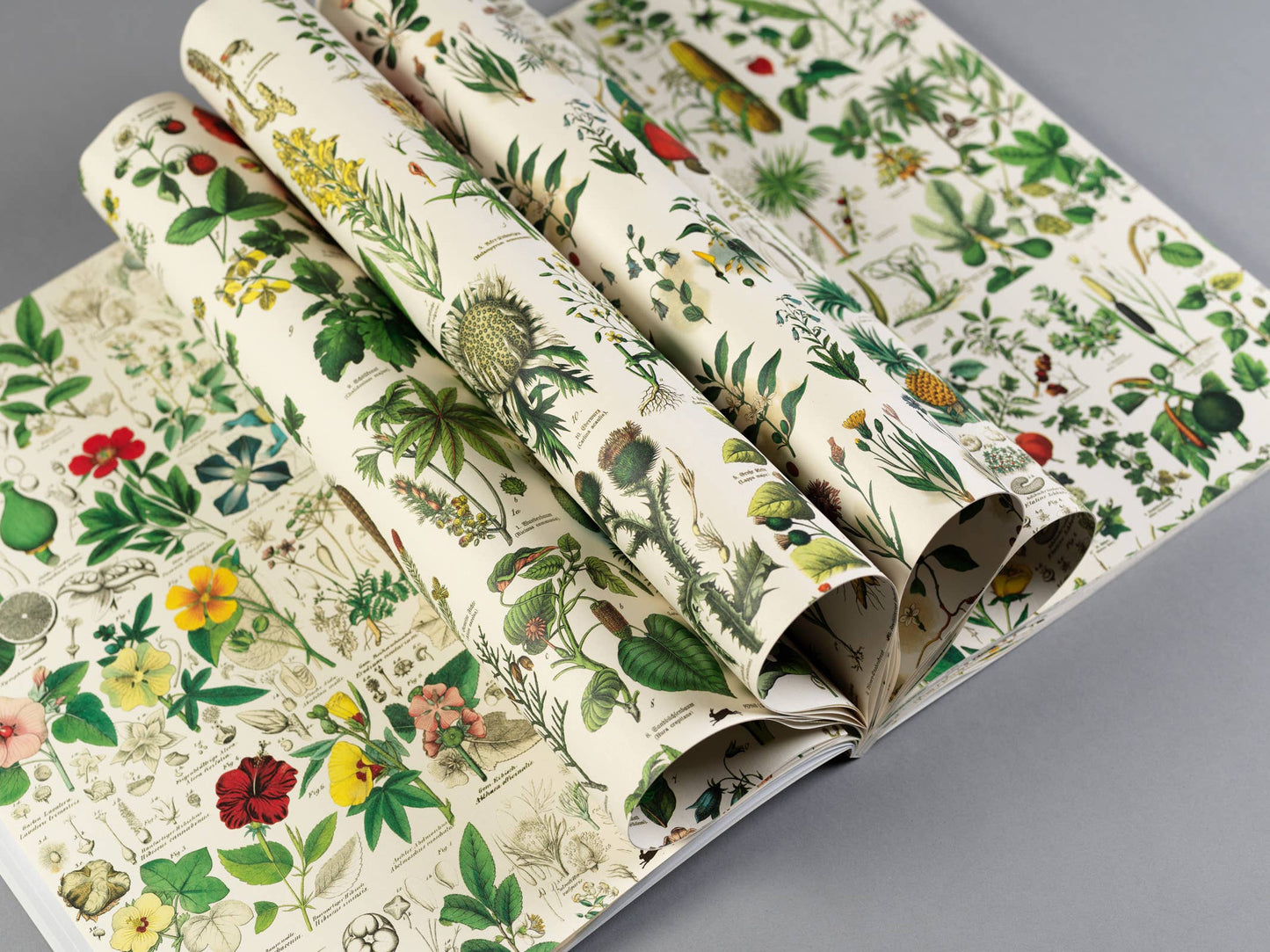 Pepin Press - Flora Gift & Creative Paper Book
