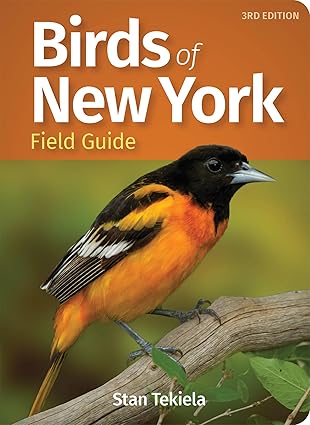 Birds of New York Field Guide