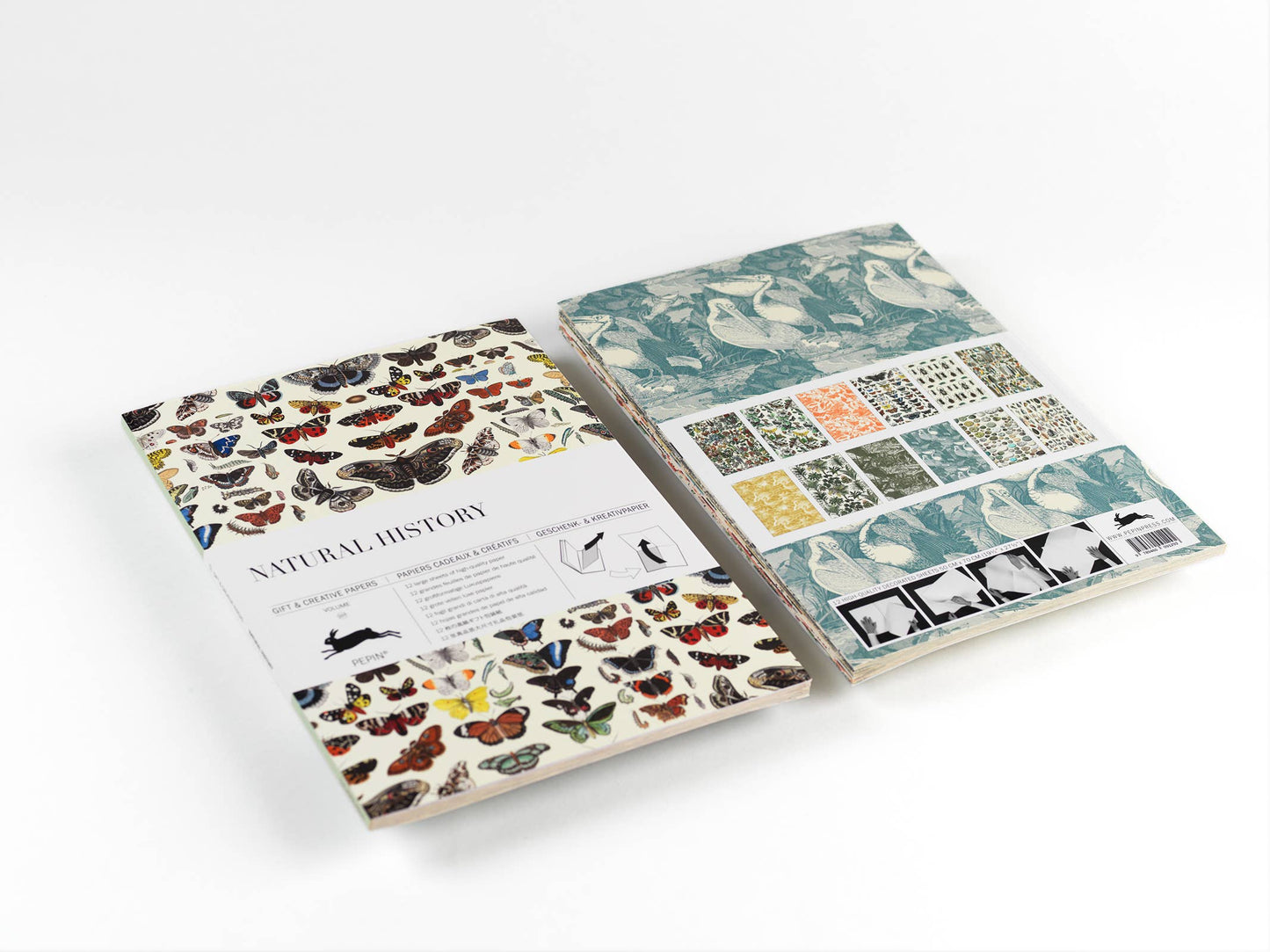 Pepin Press - Natural History Gift & Creative Paper Book