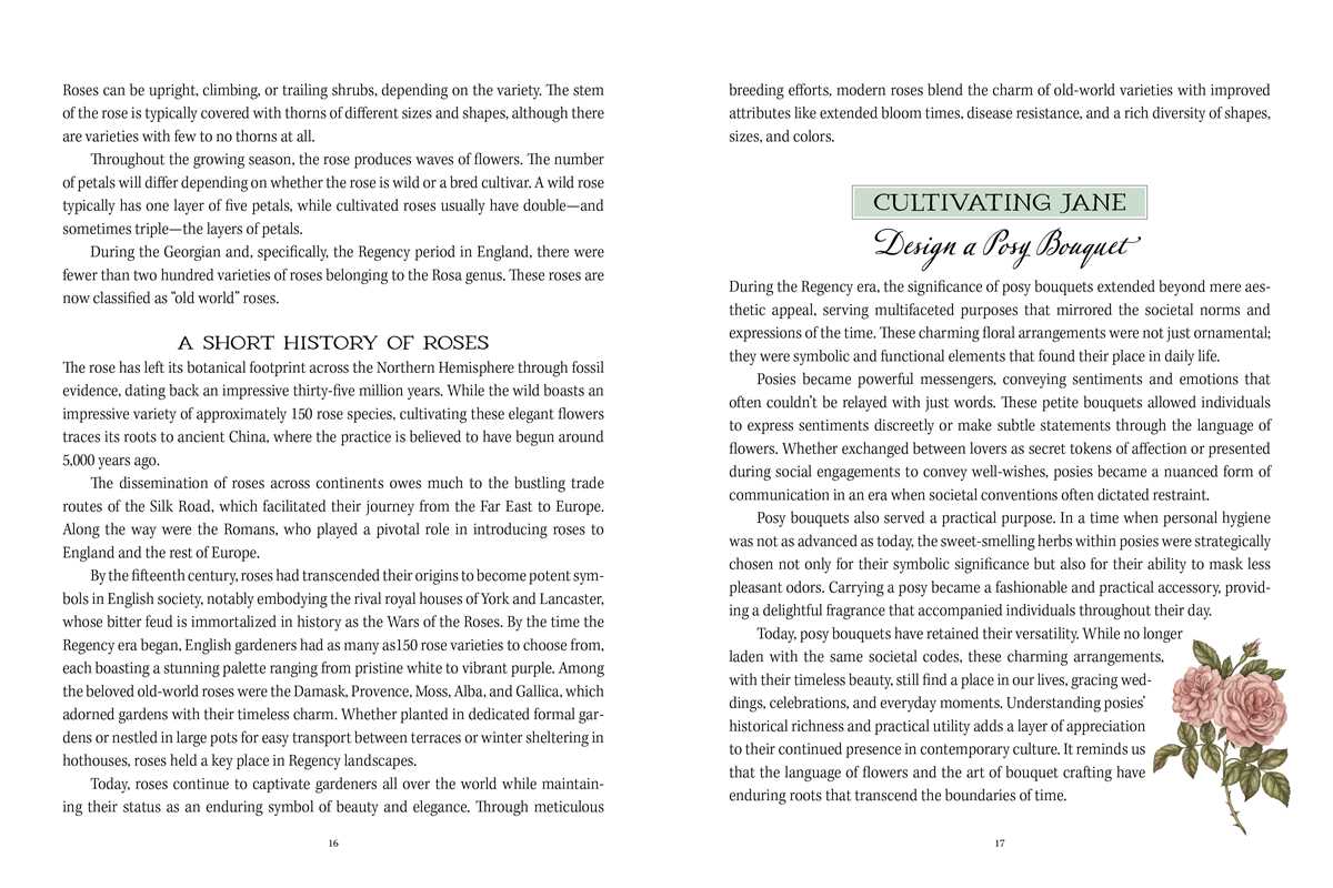 Jane Austen's Garden by Molly Williams - Stomping Grounds