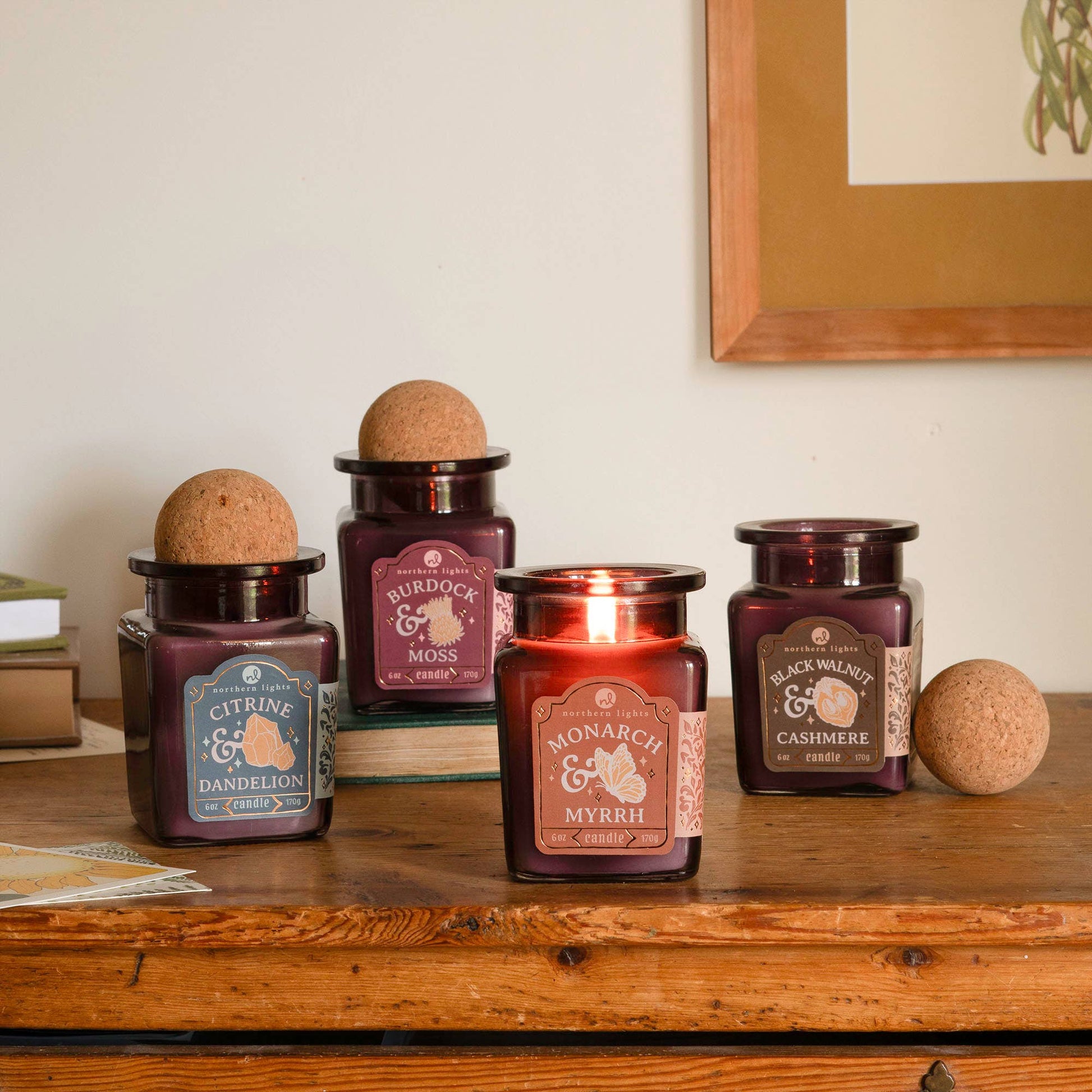 Northern Lights - Curiosity Candle: Citrine & Dandelion - Stomping Grounds