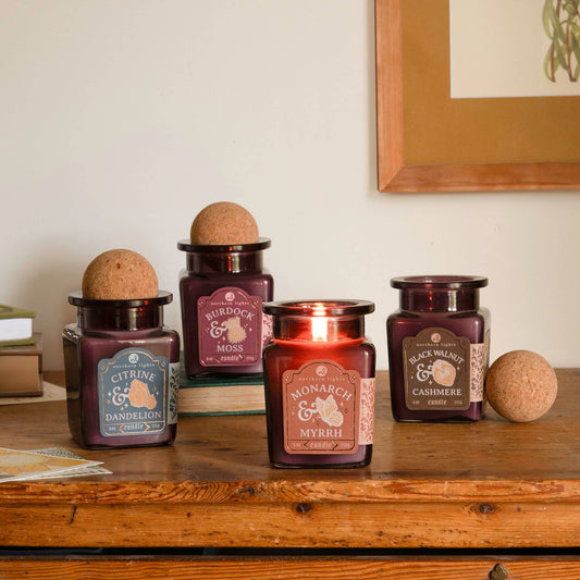 Curiosity Candle: Monarch & Myrrh - Northern Lights