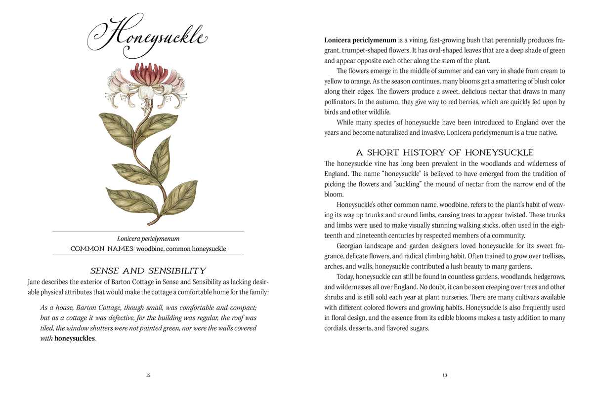 Jane Austen's Garden by Molly Williams - Stomping Grounds