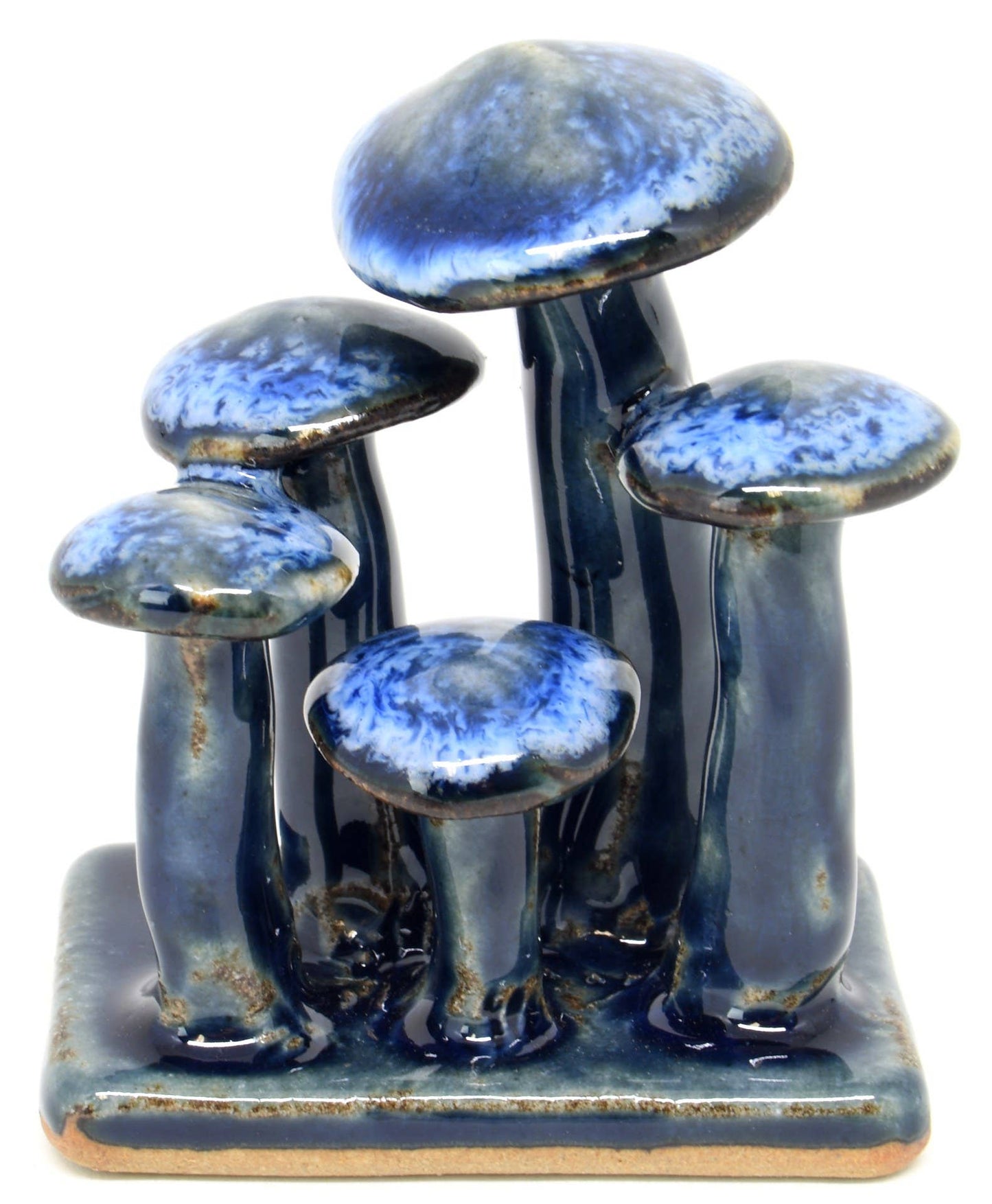 Art Floral Trading LLC - SRI173EFFB Cluster Of Mushrooms Blue Effect