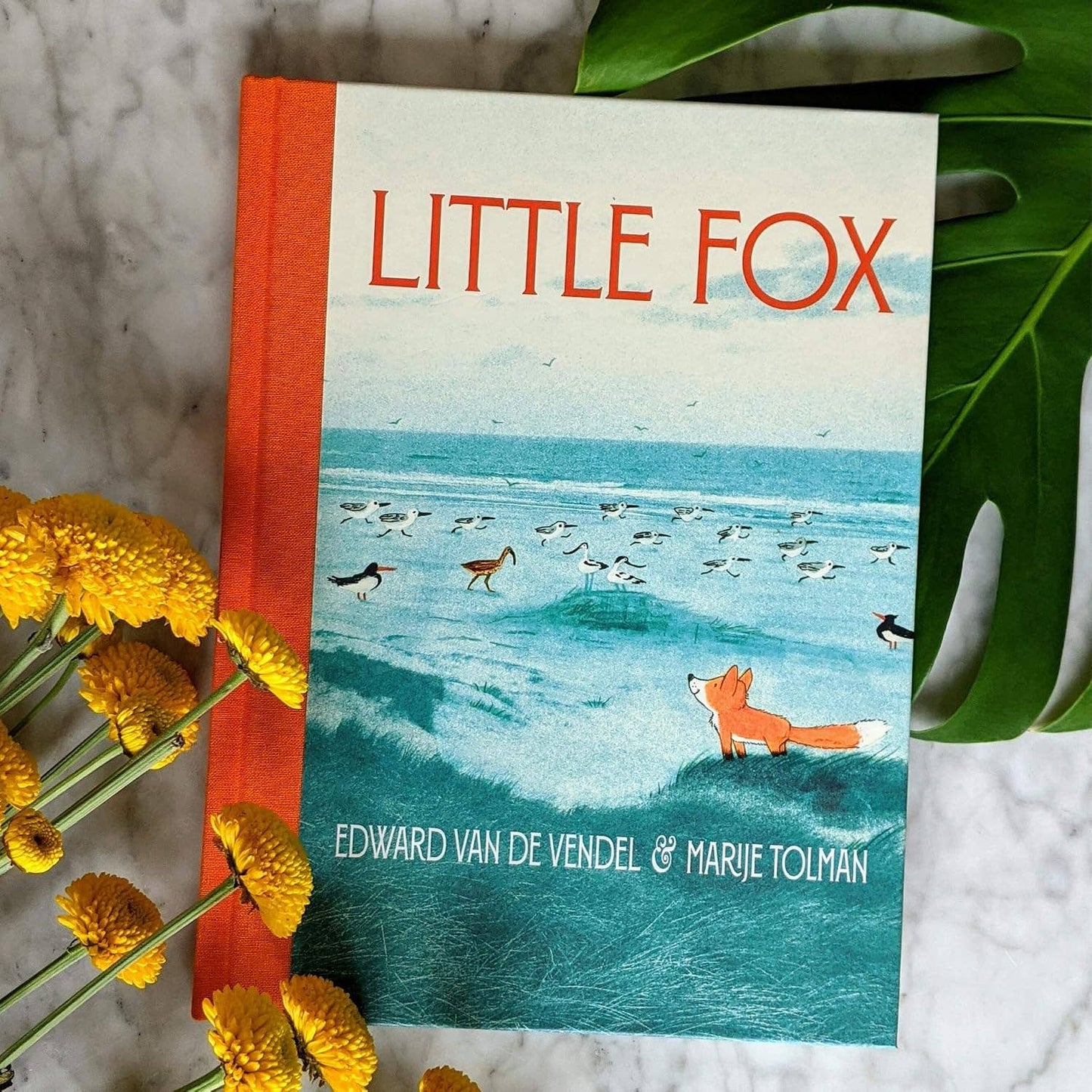 Chronicle Books - Little Fox
