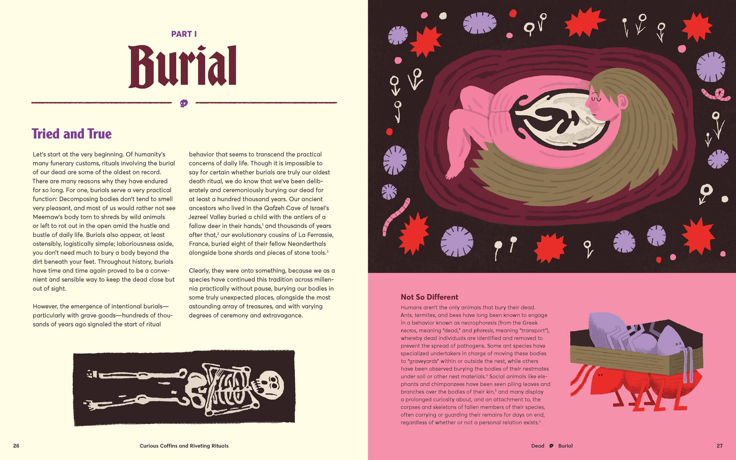 Chronicle Books - Curious Coffins and Riveting Rituals