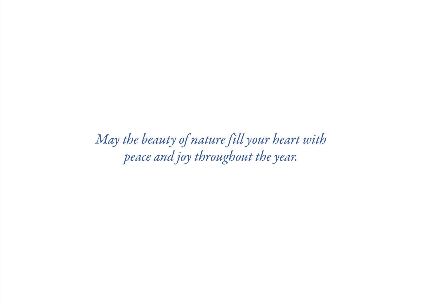 Fox and Birches Deluxe Boxed Holiday Cards