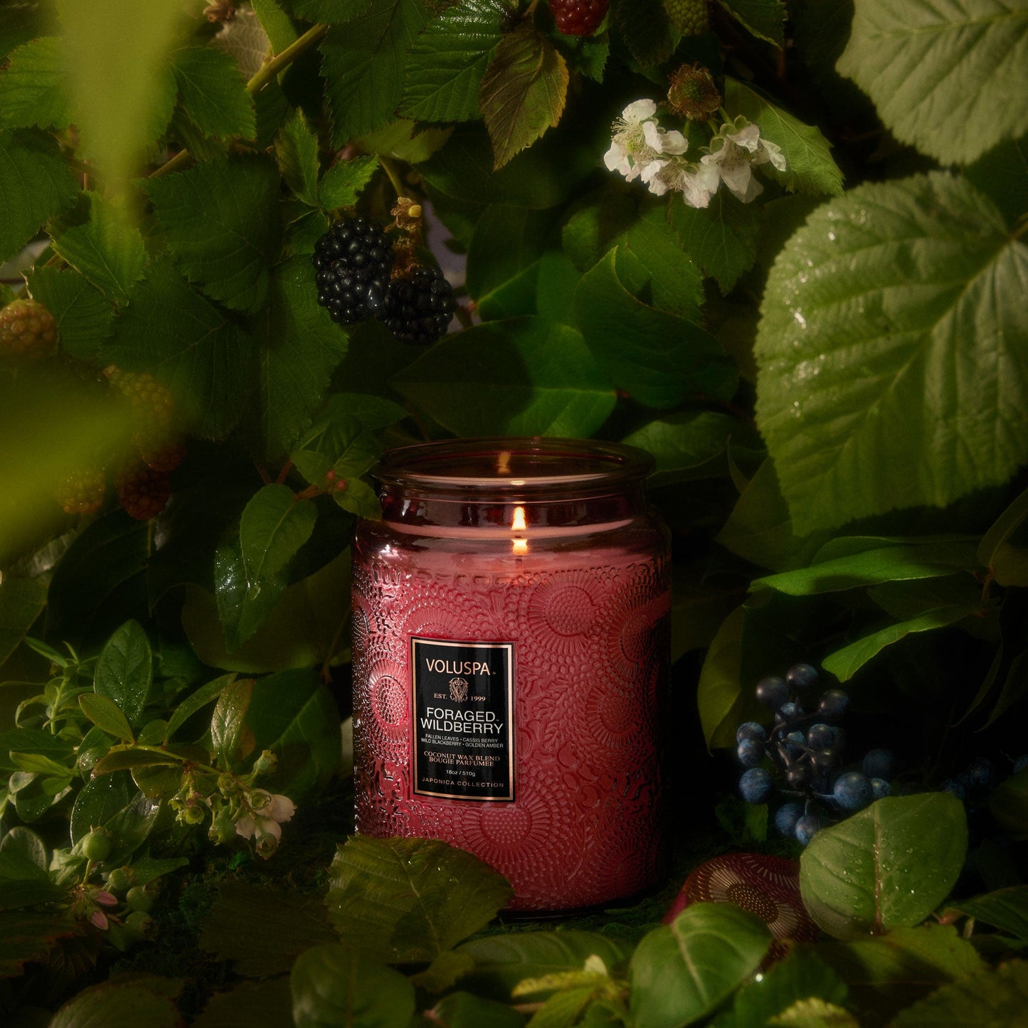 Foraged Wildberry - Voluspa large Jar Candle