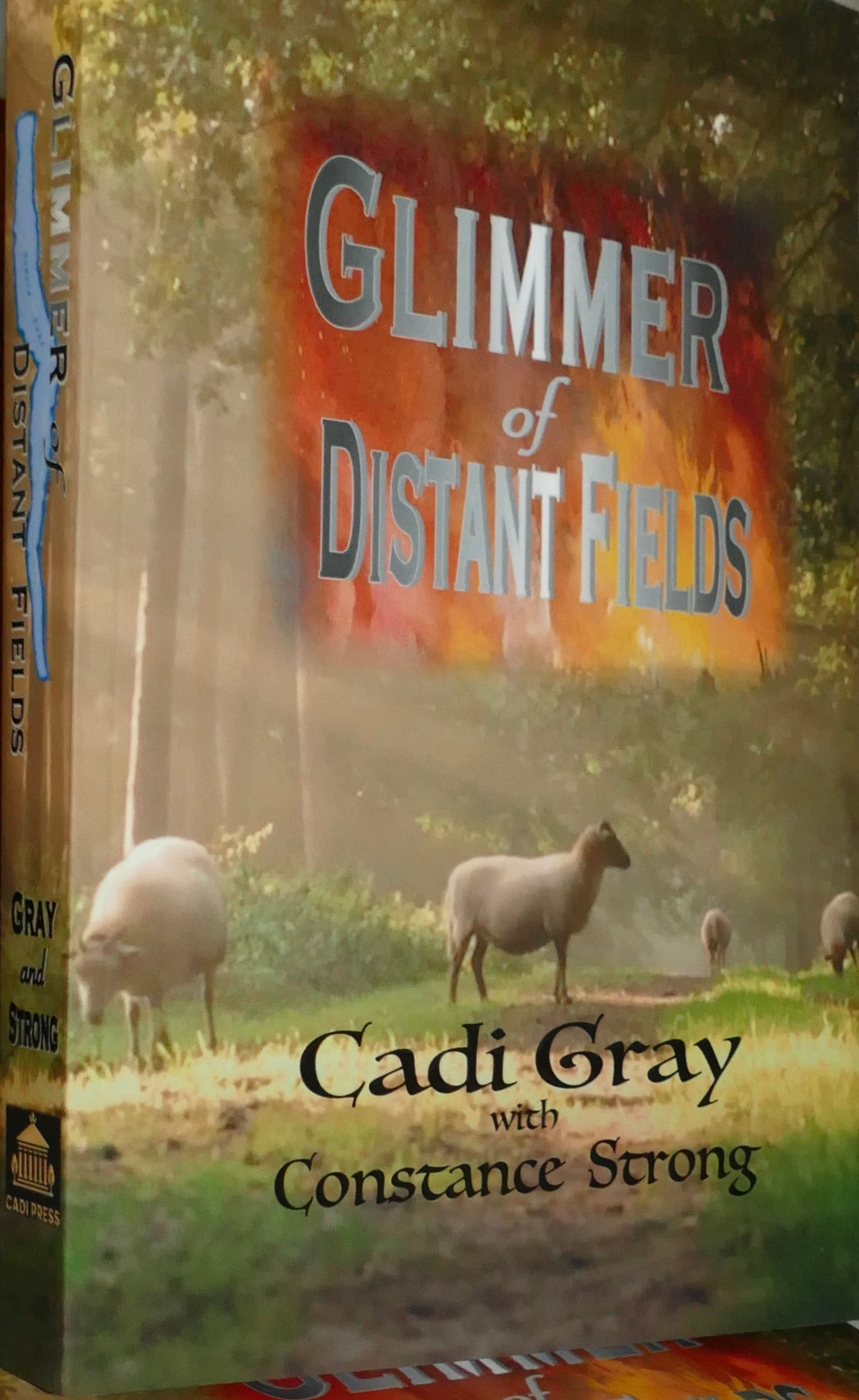 Glimmer of Distant Fields, A Wool Merchant's Sojourn by Cadi Gray (with Constance Strong)