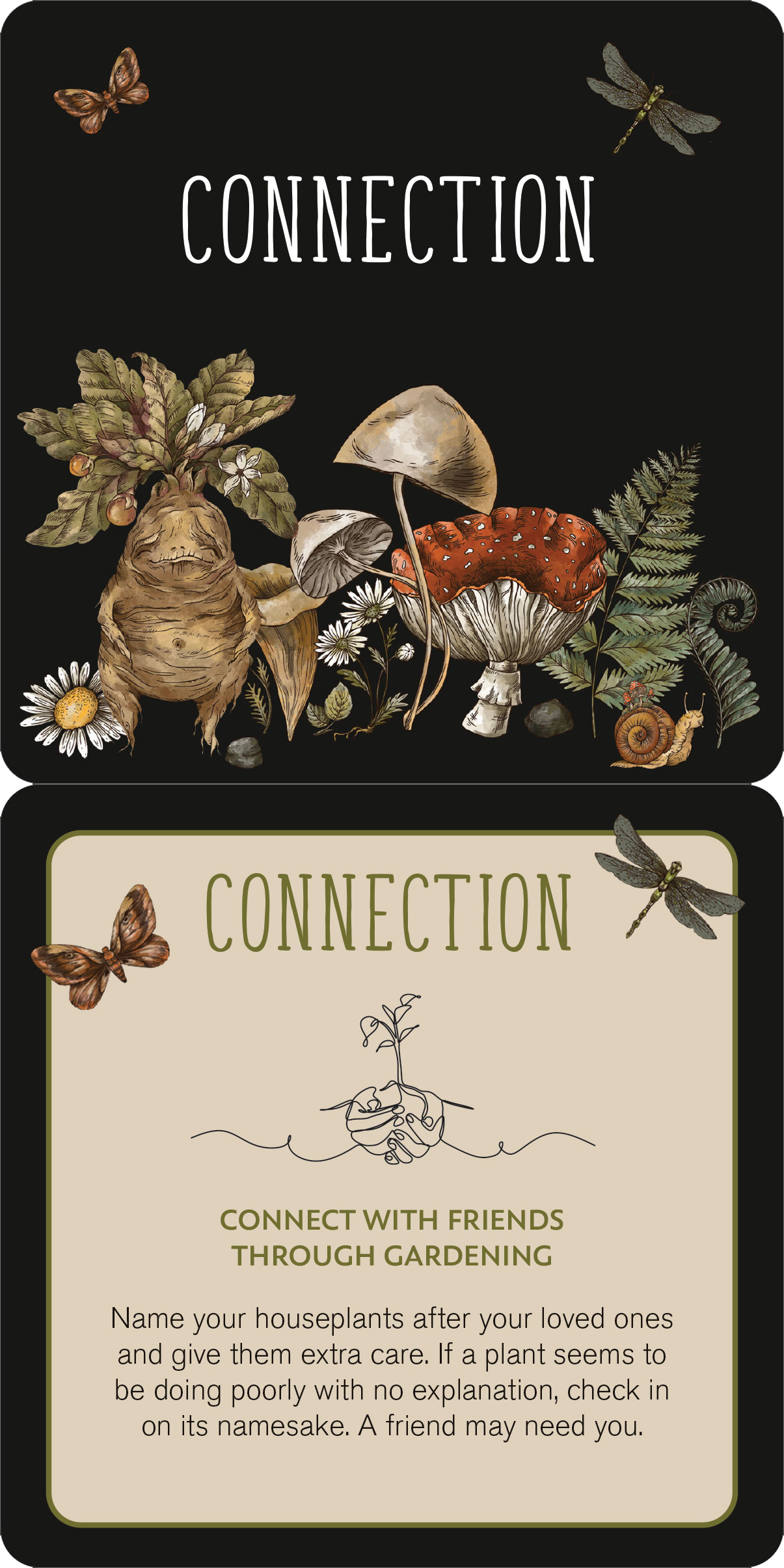 Peter Pauper Press - Everyday Spells for Busy Witches Insight Cards