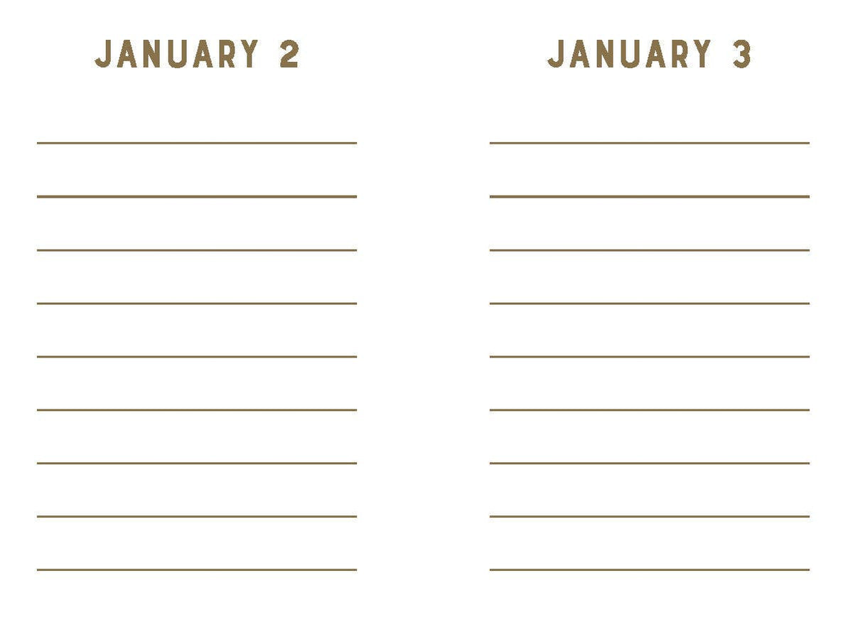 Chronicle Books - Rose Velvet Mini One Line a Day