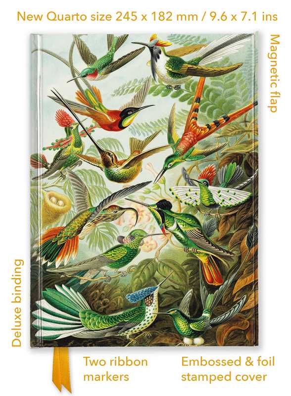 Ernst Haeckel: Hummingbirds (Foiled Quarto Journal) Notebook FTQNB018